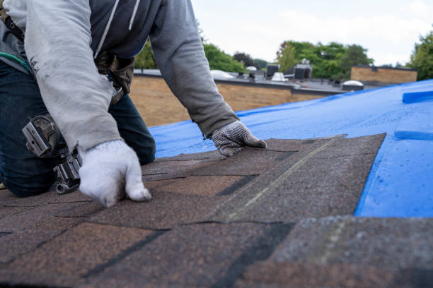 Best Metal Roofing Contractor  in Loma Ri, CA